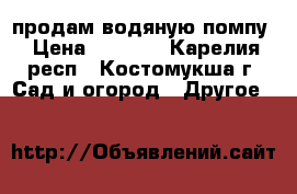 продам водяную помпу › Цена ­ 8 000 - Карелия респ., Костомукша г. Сад и огород » Другое   